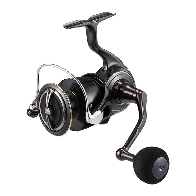 DAIWA 2026 Certate HD Fishing  - Daiwa Reel Bg review and price